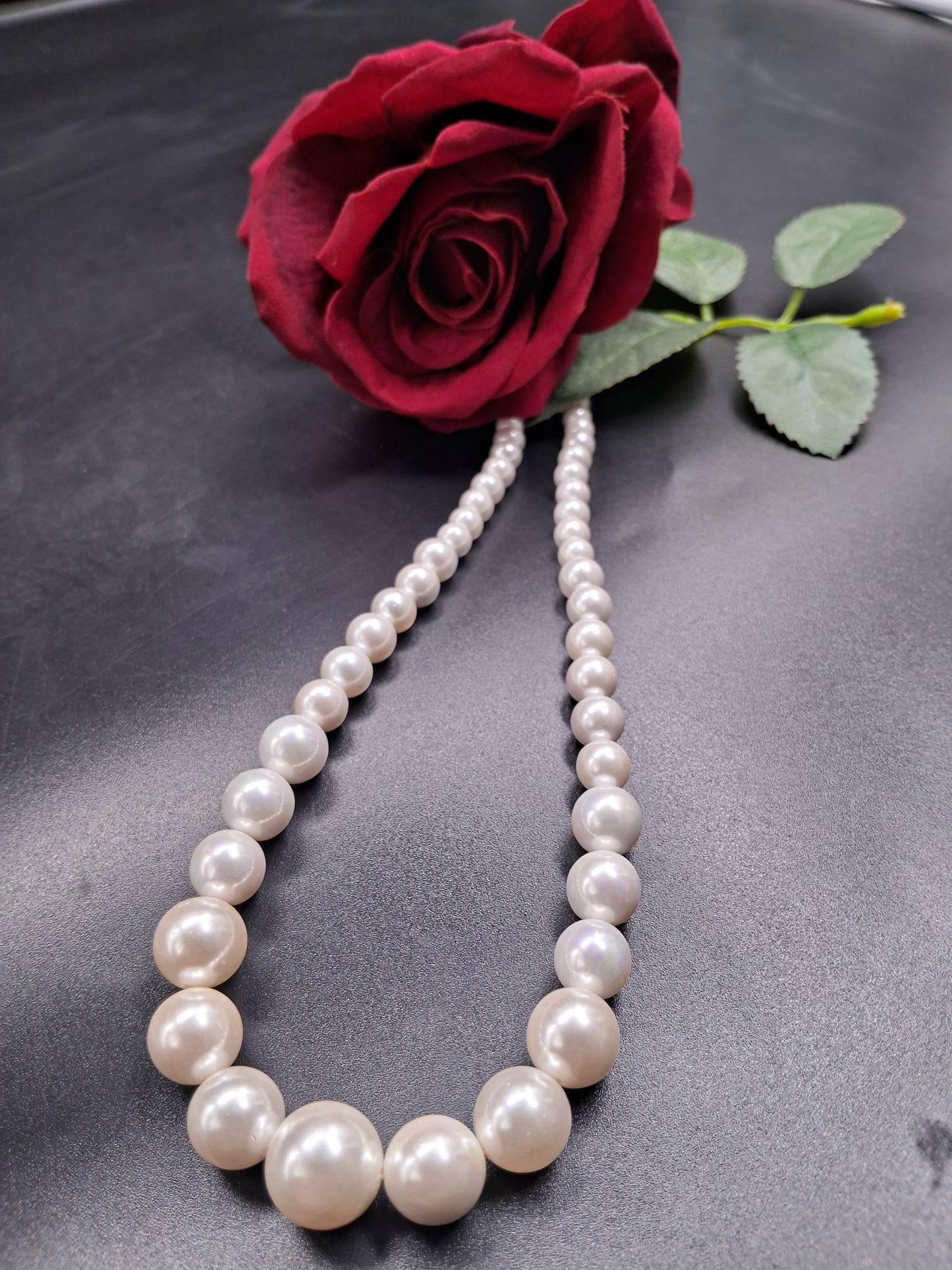 Elegant Shell Pearl Necklace