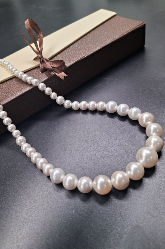 Elegant Shell Pearl Necklace